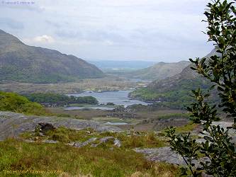 click to enlarge - anklicken zum Vergöern, mit ALT+F4 wieder schliessen