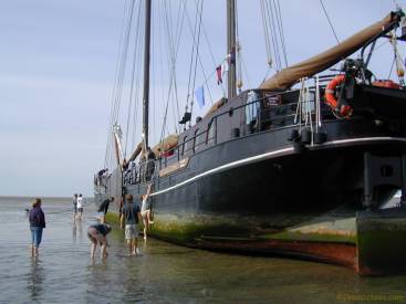 anklicken zum Vergr��ern - click to enlarge